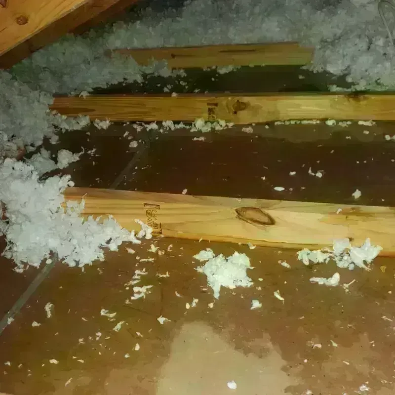 Attic Water Damage in Billerica, MA