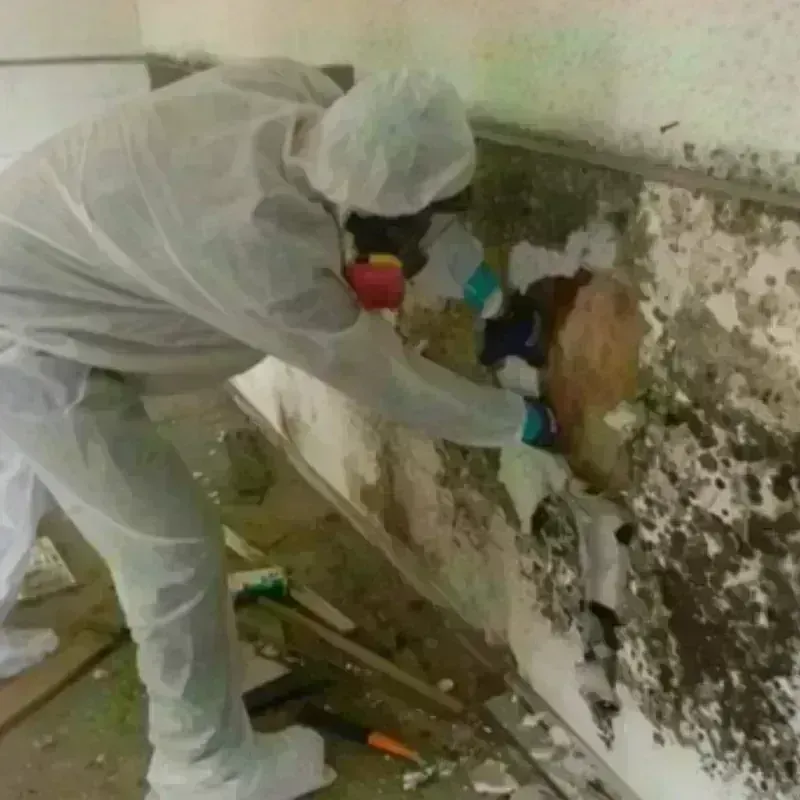 Mold Remediation and Removal in Billerica, MA